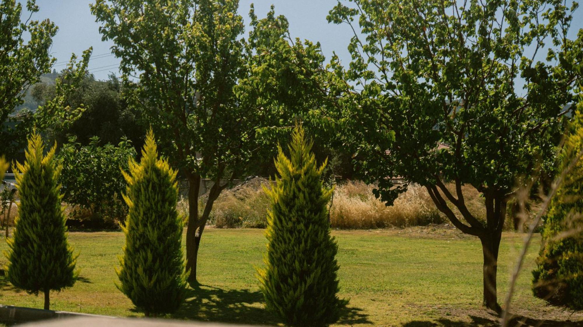 Vela Garden Resort Cesme Ngoại thất bức ảnh
