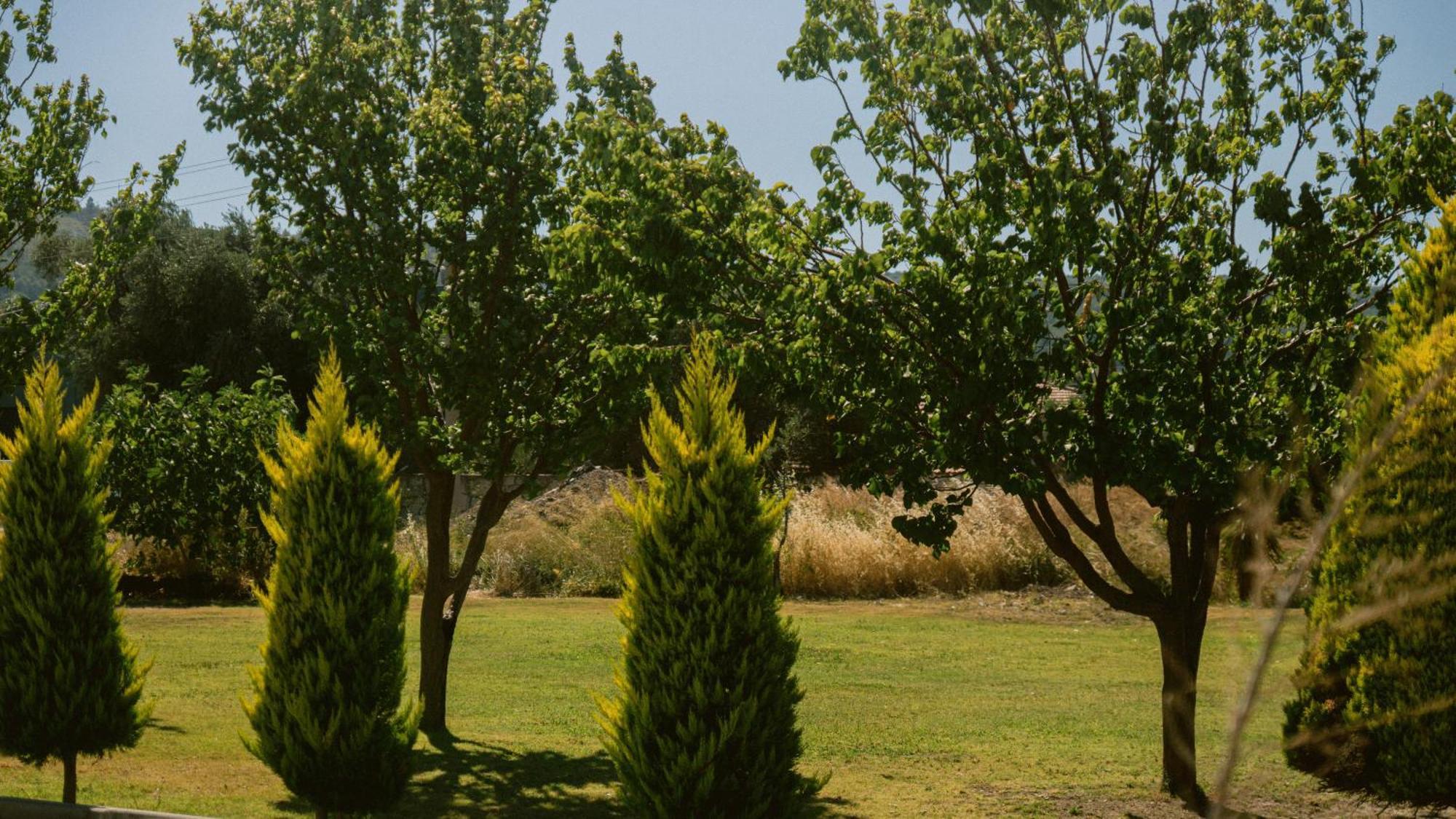 Vela Garden Resort Cesme Ngoại thất bức ảnh